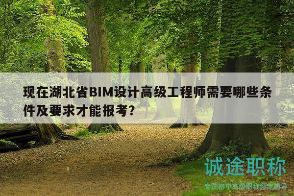 现在湖北省BIM设计高级工程师需要哪些条件及要求才能报考？