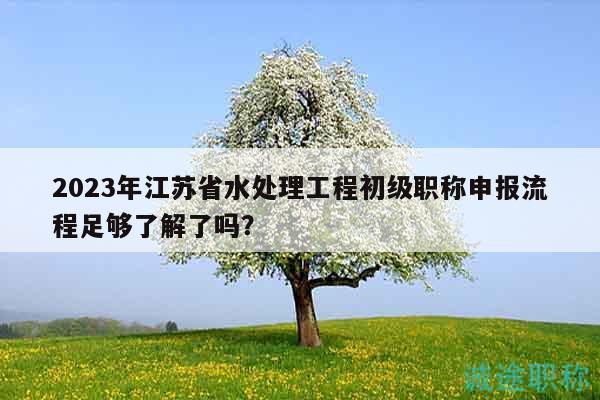 2023年江苏省水处理工程初级职称申报流程足够了解了吗？