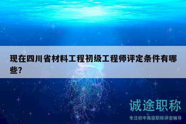 现在四川省材料工程初级工程师评定条件有哪些？