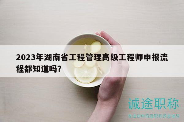 2023年湖南省工程管理高级工程师申报流程都知道吗？