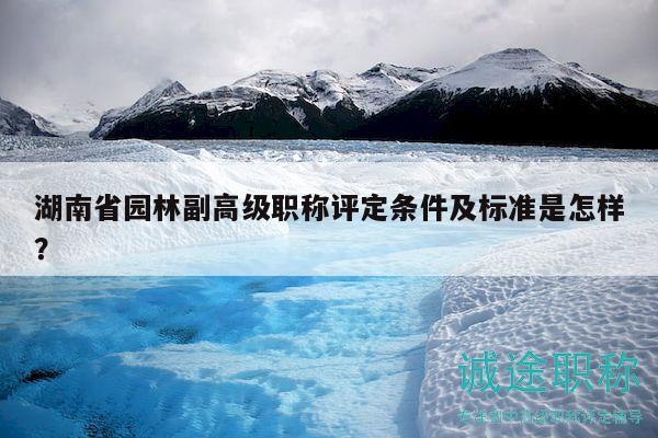 湖南省园林副高级职称评定条件及标准是怎样？