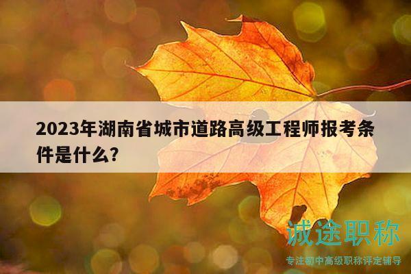 2023年湖南省城市道路高级工程师报考条件是什么？