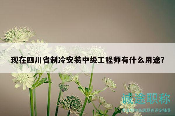 现在四川省制冷安装中级工程师有什么用途？