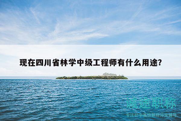 现在四川省林学中级工程师有什么用途？