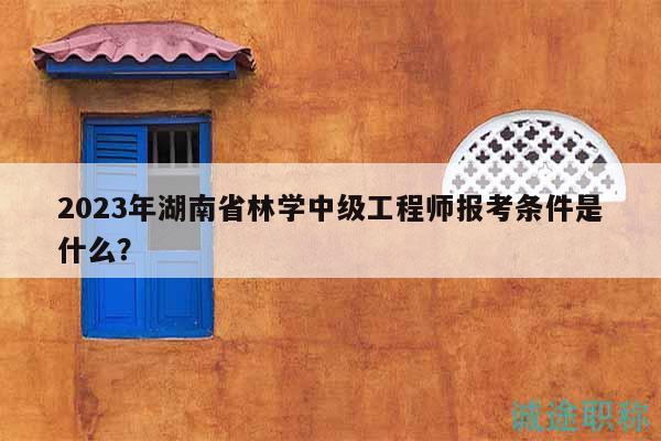 2023年湖南省林学中级工程师报考条件是什么？