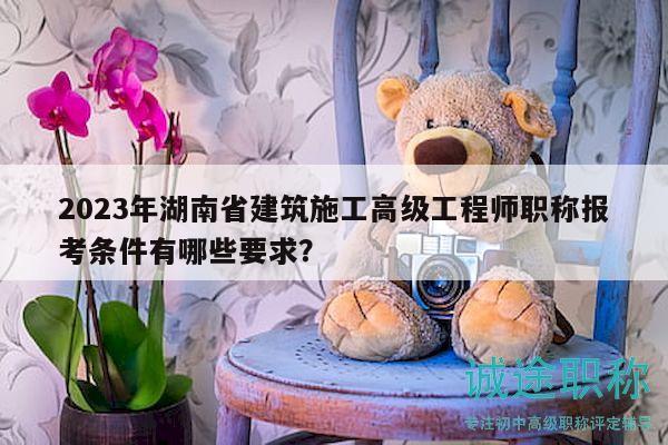 2023年湖南省建筑施工高级工程师职称报考条件有哪些要求？