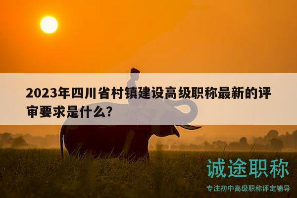 2023年四川省村镇建设高级职称最新的评审要求是什么？