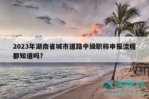 2023年湖南省城市道路中级职称申报流程都知道吗？