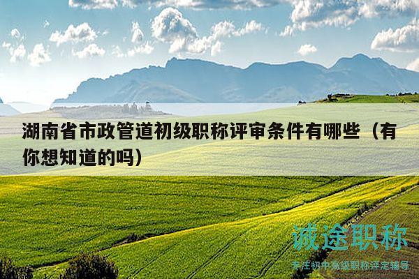 湖南省市政管道初级职称评审条件有哪些（有你想知道的吗）