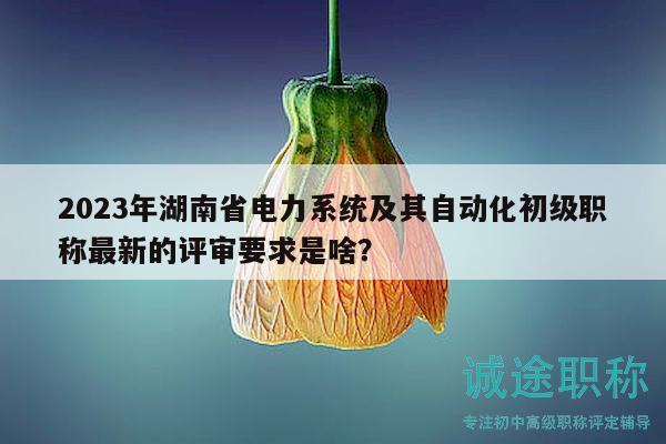 2023年湖南省电力系统及其自动化初级职称最新的评审要求是啥？