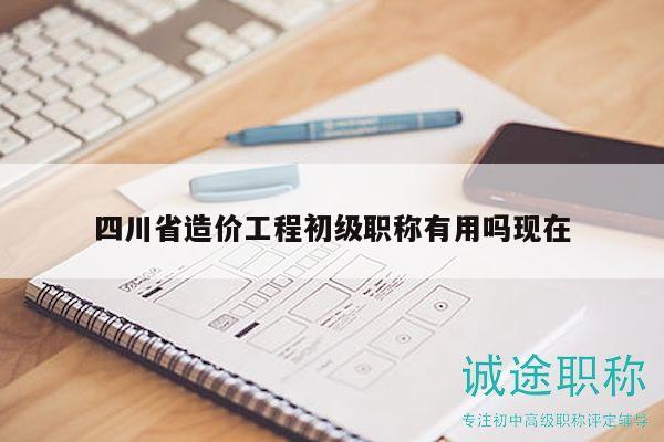 四川省造价工程初级职称有用吗现在
