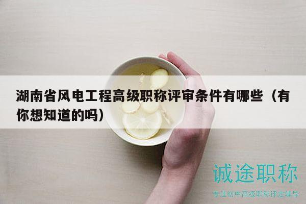 湖南省风电工程高级职称评审条件有哪些（有你想知道的吗）