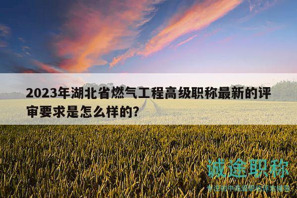 2023年湖北省燃气工程高级职称最新的评审要求是怎么样的？