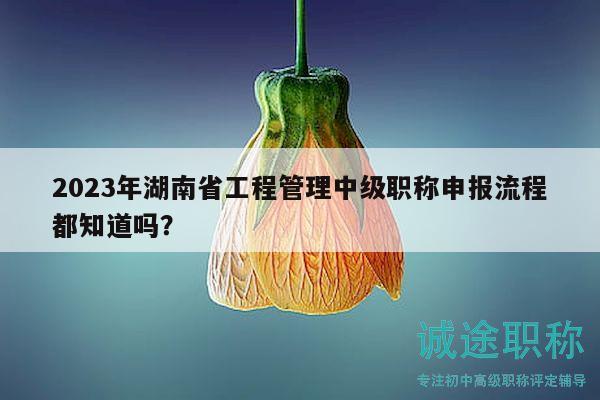 2023年湖南省工程管理中级职称申报流程都知道吗？