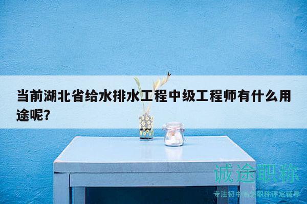 当前湖北省给水排水工程中级工程师有什么用途呢？