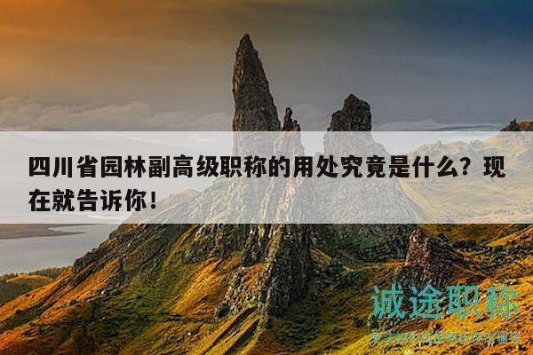 四川省园林副高级职称的用处究竟是什么？现在就告诉你！