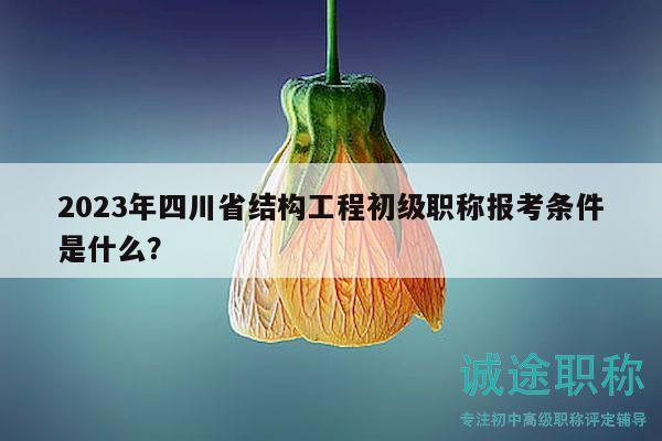 2023年四川省结构工程初级职称报考条件是什么？