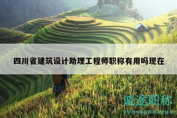 四川省建筑设计助理工程师职称有用吗现在