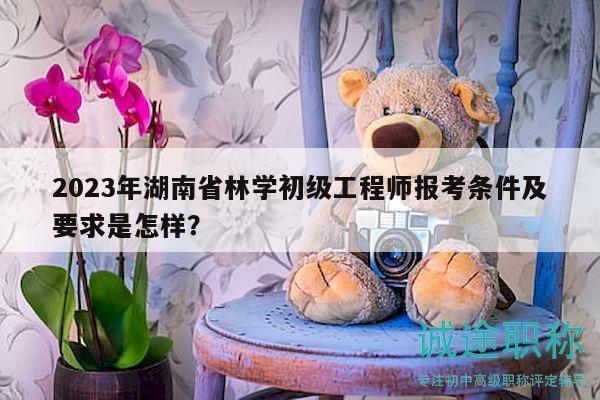 2023年湖南省林学初级工程师报考条件及要求是怎样？