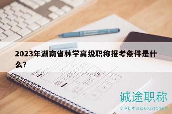 2023年湖南省林学高级职称报考条件是什么？