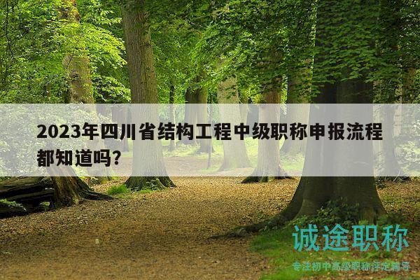 2023年四川省结构工程中级职称申报流程都知道吗？