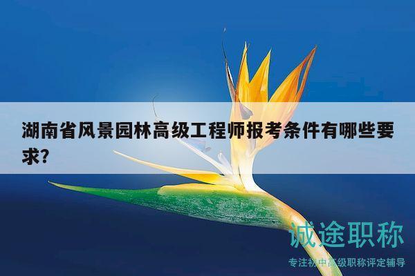 湖南省风景园林高级工程师报考条件有哪些要求？
