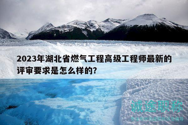 2023年湖北省燃气工程高级工程师最新的评审要求是怎么样的？
