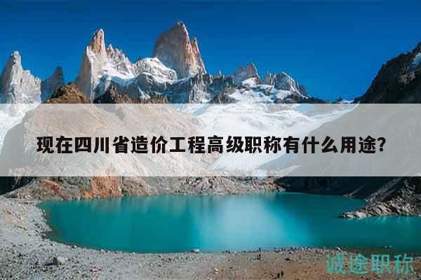 现在四川省造价工程高级职称有什么用途？
