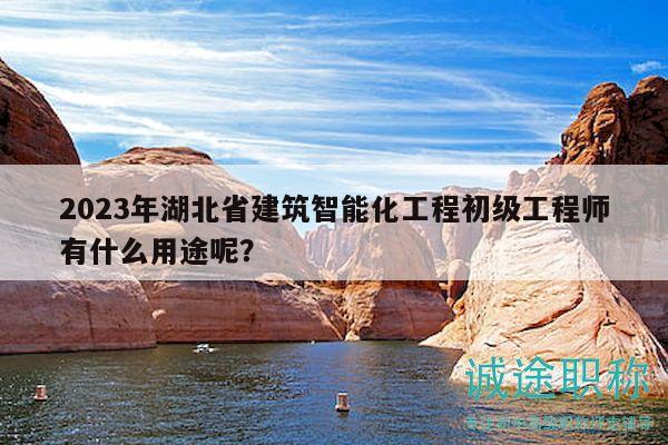 2023年湖北省建筑智能化工程初级工程师有什么用途呢？
