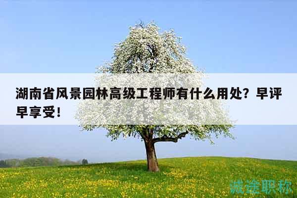 湖南省风景园林高级工程师有什么用处？早评早享受！