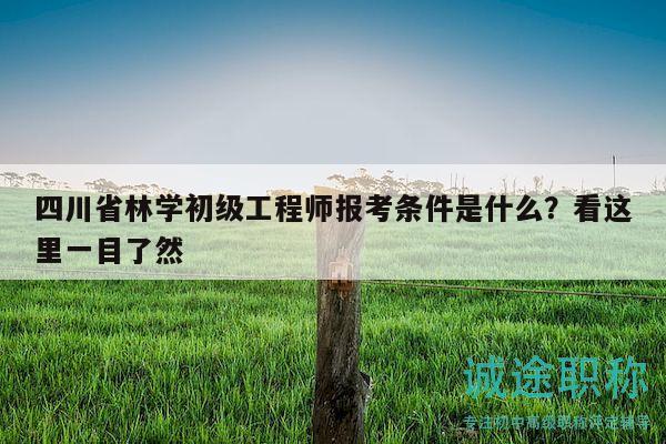 四川省林学初级工程师报考条件是什么？看这里一目了然