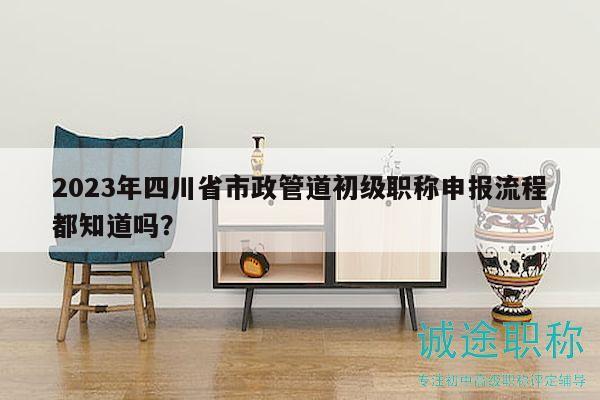 2023年四川省市政管道初级职称申报流程都知道吗？