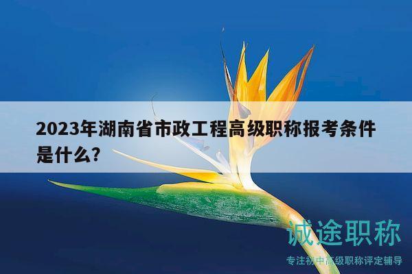 2023年湖南省市政工程高级职称报考条件是什么？