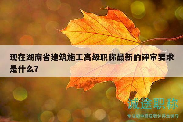 现在湖南省建筑施工高级职称最新的评审要求是什么？