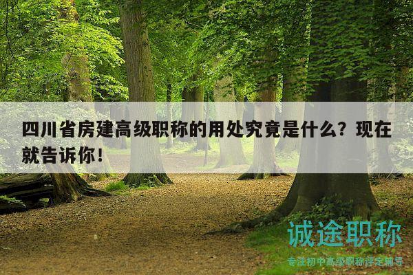 四川省房建高级职称的用处究竟是什么？现在就告诉你！