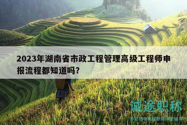 2023年湖南省市政工程管理高级工程师申报流程都知道吗？