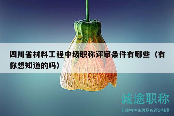 四川省材料工程中级职称评审条件有哪些（有你想知道的吗）