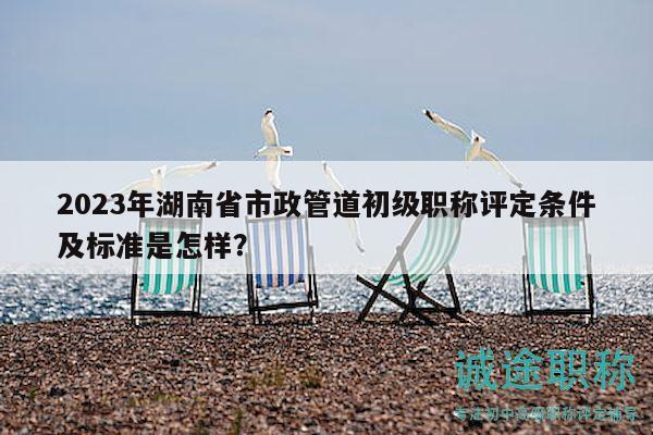 2023年湖南省市政管道初级职称评定条件及标准是怎样？