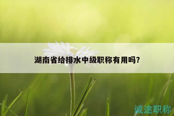 湖南省给排水中级职称有用吗？