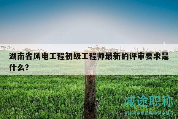 湖南省风电工程初级工程师最新的评审要求是什么？