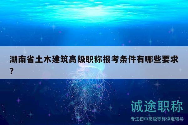 湖南省土木建筑高级职称报考条件有哪些要求？
