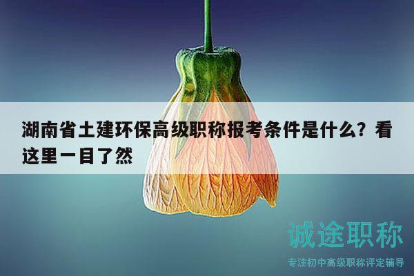 湖南省土建环保高级职称报考条件是什么？看这里一目了然
