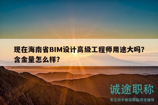 现在海南省BIM设计高级工程师用途大吗？含金量怎么样？