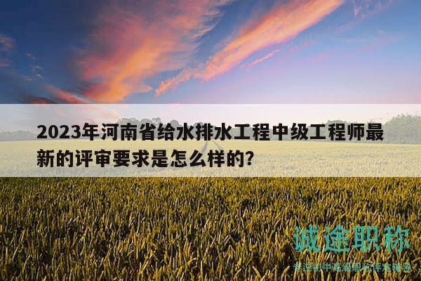 2023年河南省给水排水工程中级工程师最新的评审要求是怎么样的？