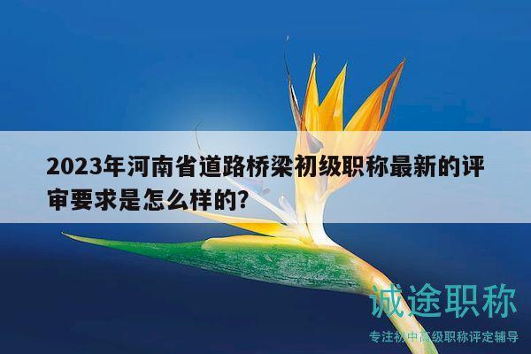 2023年河南省道路桥梁初级职称最新的评审要求是怎么样的？