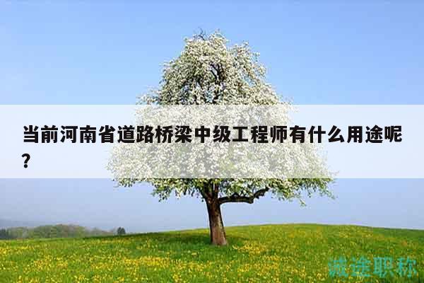 当前河南省道路桥梁中级工程师有什么用途呢？