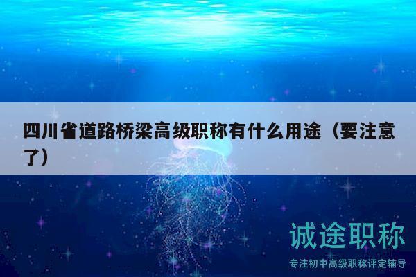 四川省道路桥梁高级职称有什么用途（要注意了）