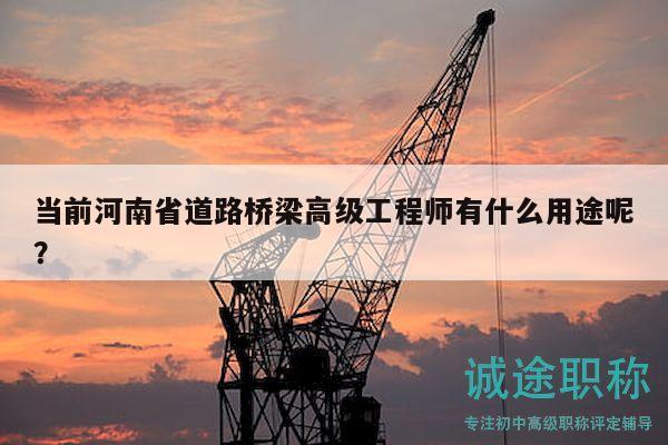 当前河南省道路桥梁高级工程师有什么用途呢？