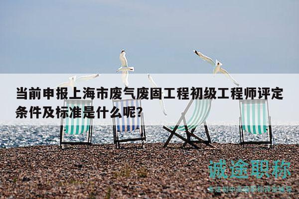 当前申报上海市废气废固工程初级工程师评定条件及标准是什么呢？