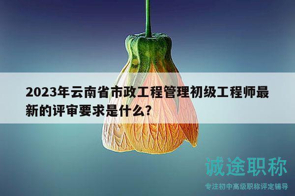 2023年云南省市政工程管理初级工程师最新的评审要求是什么？